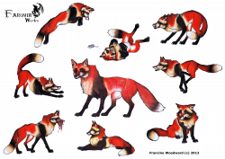 Somali cat Silver Fox rabbit Raccoon Red fox Gray wolf - How To Draw ...
