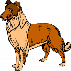 Collie clipart - PinArt | Happy sitting border collie dog, black ...