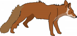 Red Fox clipart desert fox - Pencil and in color red fox clipart ...