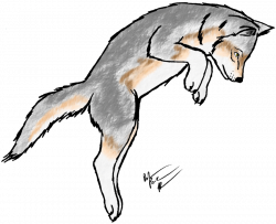 28+ Collection of Dead Wolf Clipart | High quality, free cliparts ...