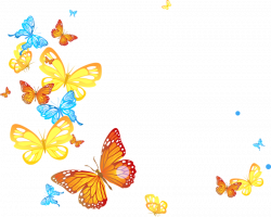 Image result for images papillons | transparant png | Pinterest ...