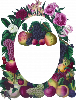 Clipart - Vintage Floral And Fruit Frame