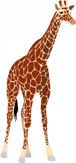 Another Giraffe Clipart | i2Clipart - Royalty Free Public Domain Clipart