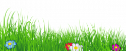 Grass Transparent Clipart | Clip Art | Clip art, Grass ...