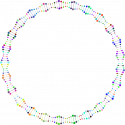 Clipart - Prismatic Unwound DNA Helix Frame