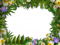 Flower Frame Border PNG With Green Leaves Background (Nature-Grass ...