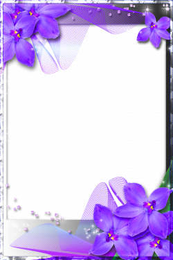 Beautiful Transparent Frame with Purple Orchids | para maestros ...