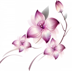 Res] Purple Flowers PNG by HanaBell1.deviantart.com on @deviantART ...