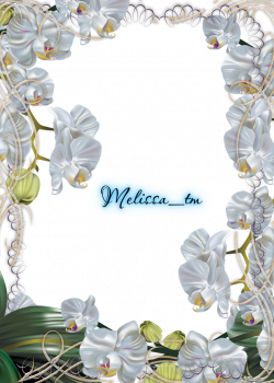 white orchids frame png by Melissa-tm on DeviantArt