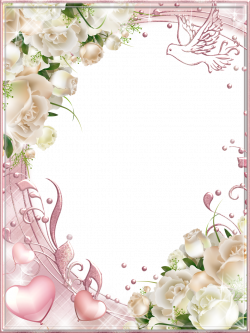 Witte Rozen Roze PNG Photo Frame | clipart borders | Pinterest ...