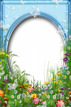 Cute PNG Summer Photo Frame with Flowers | Frames | Pinterest ...