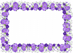 Free photo Frame Decoration Pattern Petunias Border - Max Pixel