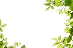 Nature PNG Transparent Free Images | PNG Only