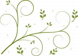 Borders and Frames Vine Flower Drawing Clip art - green floral 2400 ...