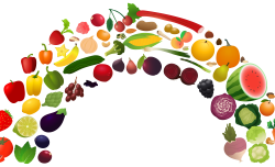Healthy diet Nutrition Health food Fruit Clip art - mood frame 1500 ...