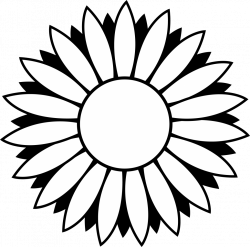 Sunflower black and white black and white sunflower clipart ...