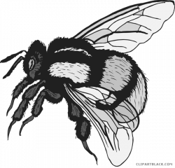 Cute Bumble Bee Clipart - ClipartBlack.com