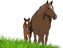 FREE Mare and Foal Horse Clipart (Personal and Commercial Use ...