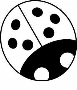 Ladybug Clipart Black And White | Clipart Panda - Free Clipart Images