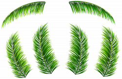Palm Leaves PNG Clip Art Image | Gallery Yopriceville - High ...