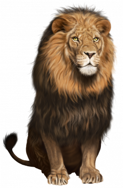 Lion Transparent PNG Clip Art Image | Gallery Yopriceville - High ...