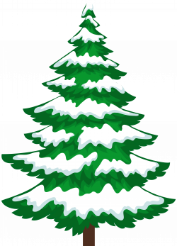 Pine Tree with Snow Transparent Clip Art | Gallery Yopriceville ...