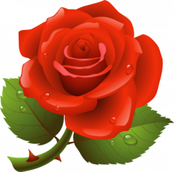 Free Rose Cliparts, Download Free Clip Art, Free Clip Art on ...