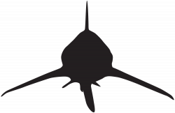 Shark Attack Silhouette PNG Clip Art Image | Gallery Yopriceville ...