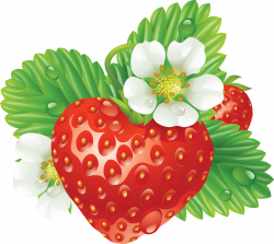 Strawberry Clip Art #22967 - Free Icons and PNG Backgrounds
