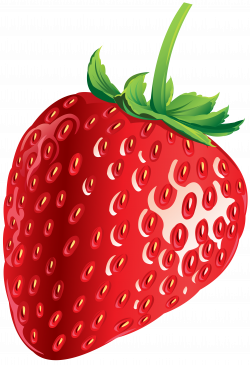 Strawberry PNG Clip Art | Gallery Yopriceville - High-Quality ...