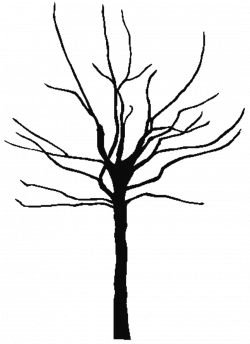 Best Bare Tree Clip Art #5152 - Clipartion.com