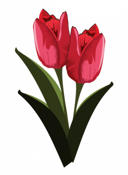 Tulip free to use clip art - Clipartix