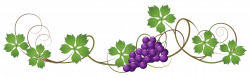 Vine Decoration PNG Clipart Picture | Gallery Yopriceville - High ...