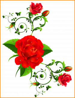 Amazing Red Decor Clipart Flower Of Rose Hd Png Inspiration And ...