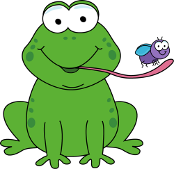 Frog Clip Art - Frog Images