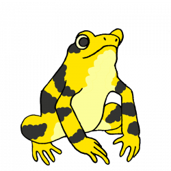 Panamanian Golden Frogs - UNLESS