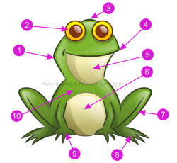 How to draw a frog clip art