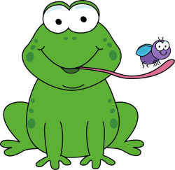 Frog classroom design on Clipart library | Frogs, Frog ...