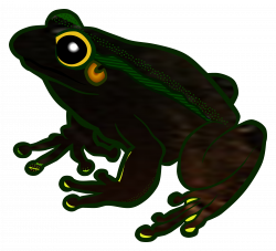 Image - Frog-Transparent-Background.png | VeggieTales Fanon Wiki ...