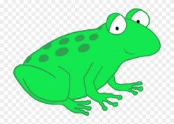 Frog Clip Art - Toad Cartoon Transparent Background - Png ...