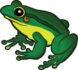 clipart of frog frog eating fly - Clip Art. Net