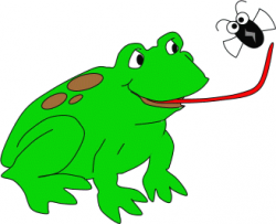 Free Frog Clipart eating, Download Free Clip Art on Owips.com