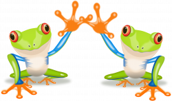 Red-eyed tree frog Australian green tree frog Clip art - Happy Frog ...