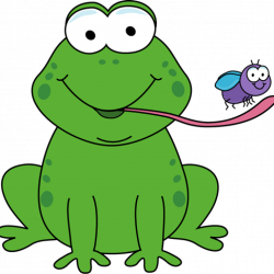 Scientist clipart frog ~ Frames ~ Illustrations ~ HD images ~ Photo ...
