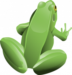 Frog PNG image free download image, frogs