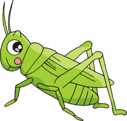 Cartoon Bush crickets Insect - Creative hand-painted grasshopper ...