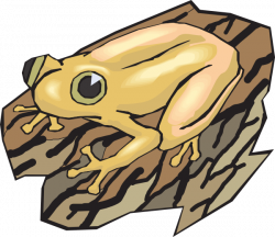 Yellow Frog On A Log Clip Art at Clker.com - vector clip art online ...