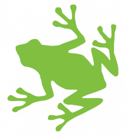 Green Frog Retina Graphic | GR2 Patterns (Biology) | Pinterest