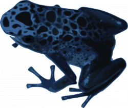 Clipart - Azureus frog