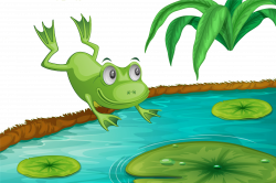 Frog Cartoon - Frog in the lotus pond 2292*1525 transprent Png Free ...